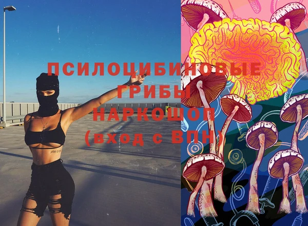 бошки Алзамай