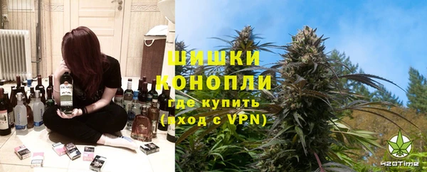 дживик Алексин