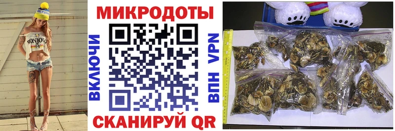 Псилоцибиновые грибы мухоморы  Андреаполь 